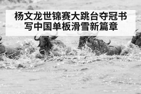 杨文龙世锦赛大跳台夺冠书写中国单板滑雪新篇章