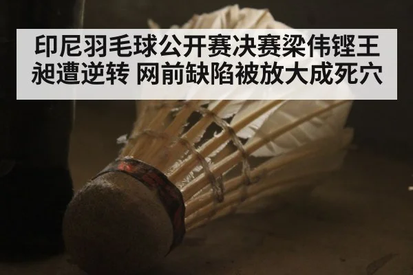 印尼羽毛球公开赛决赛梁伟铿王昶遭逆转 网前缺陷被放大成死穴